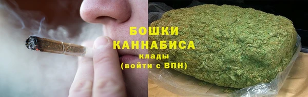 крисы Вязьма