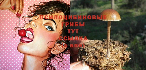 синтетический гашиш Красноперекопск
