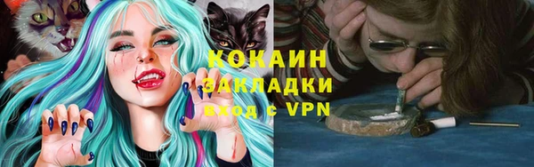 гидра Кулебаки