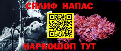 spice Гай