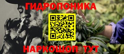 spice Гай