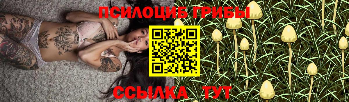 Галлюциногенные грибы Cubensis  Галлюциногенные грибы прущие грибы  Коряжма  Вход с VPN 