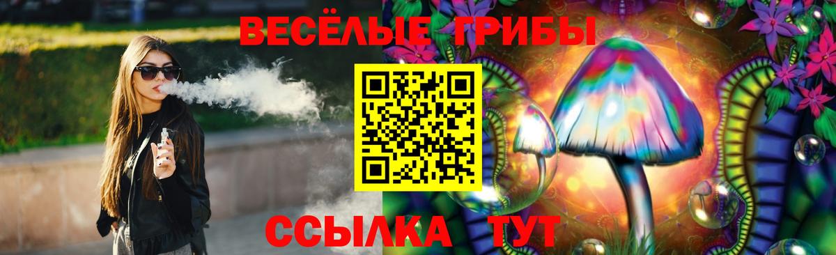Галлюциногенные грибы Cubensis Коряжма