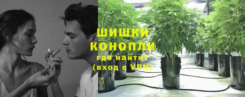 Бошки Шишки OG Kush  Коряжма 